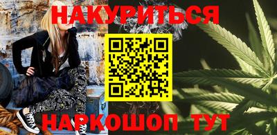 гашик Новокубанск
