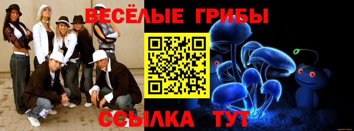 Галлюциногенные грибы Psilocybe Северобайкальск